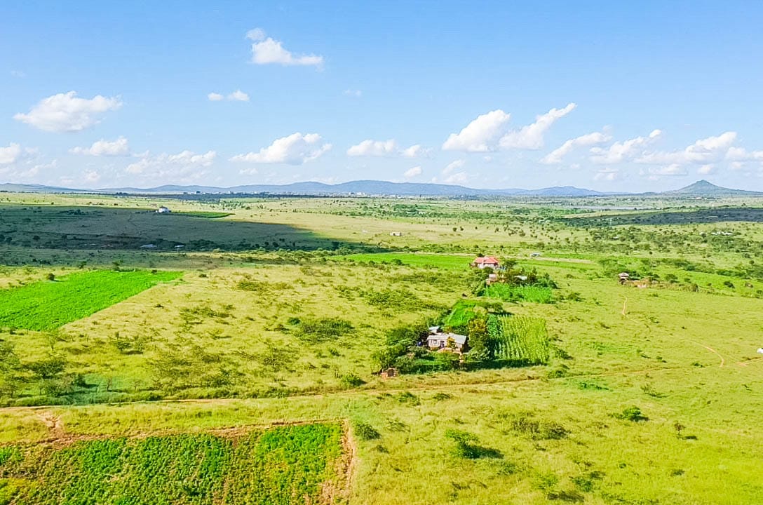 CITRUS HEIGHT 50×100 PLOTS FOR SALE IN KONZA