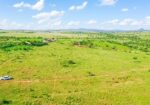 CITRUS HEIGHT 50×100 PLOTS FOR SALE IN KONZA