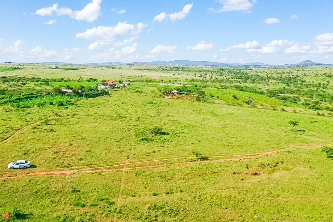 CITRUS HEIGHT 50×100 PLOTS FOR SALE IN KONZA