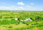 CITRUS HEIGHT 50×100 PLOTS FOR SALE IN KONZA