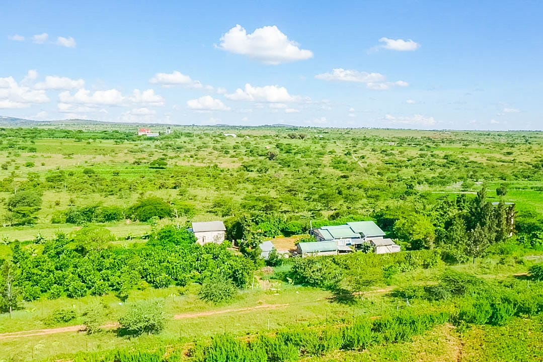 CITRUS HEIGHT 50×100 PLOTS FOR SALE IN KONZA