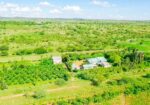 CITRUS HEIGHT 50×100 PLOTS FOR SALE IN KONZA