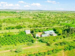 WhatsApp-Image-2024-06-08-at-4.16.54-PM