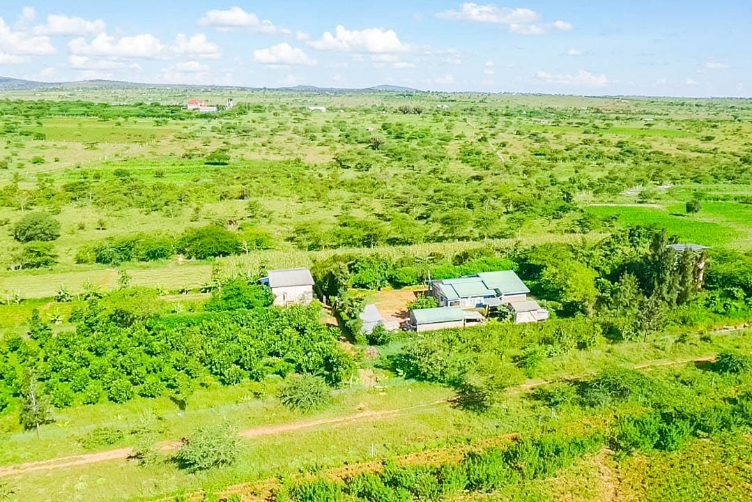 CITRUS HEIGHT 50×100 PLOTS FOR SALE IN KONZA