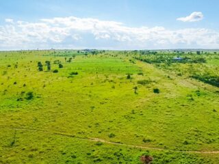 WhatsApp-Image-2024-06-08-at-4.17.12-PM